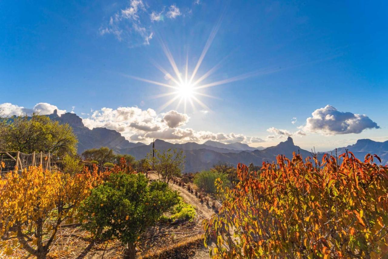 La Isa By Rose Tejeda (Gran Canaria)