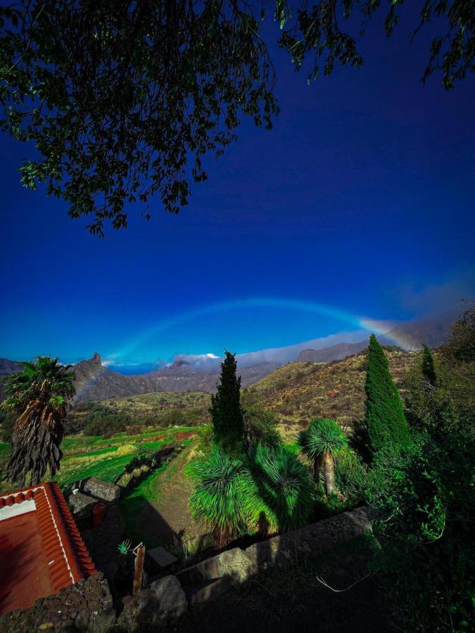 La Isa By Rose Tejeda (Gran Canaria)